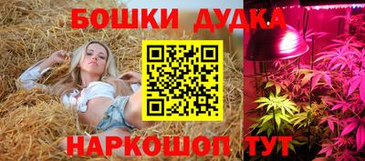 скорость Новокубанск