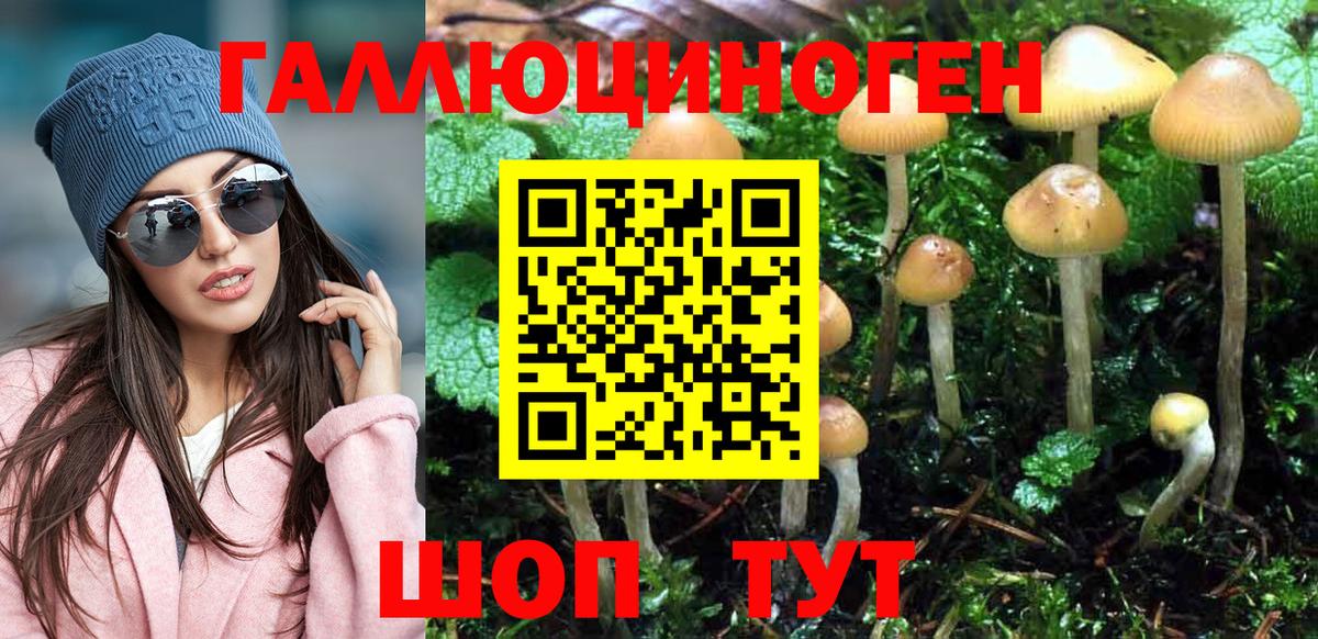 Верхняя Пышма  Псилоцибиновые грибы прущие грибы  Галлюциногенные грибы ЛСД  Вход с VPN 