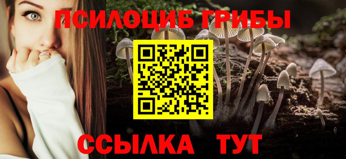 Галлюциногенные грибы GOLDEN TEACHER Верхняя Пышма
